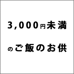 3,000円未満